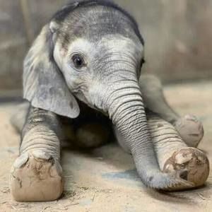 Meet your Posher, Yvette